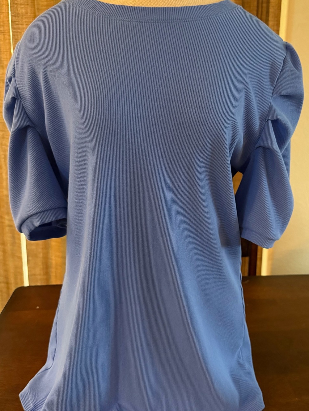 Puff Sleeve Rib Knit Top in Periwinkle